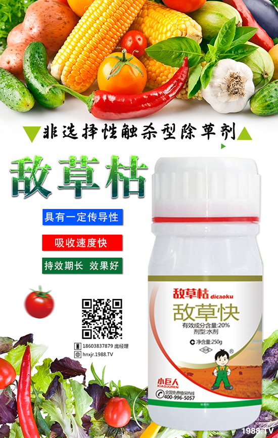 â�����Ĳ��Y�� â�����Ĳ����η���