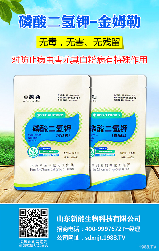 ħ��r(ji��)������Xһ�2020��ħ��Nֲ���Ј�(ch��ng)����