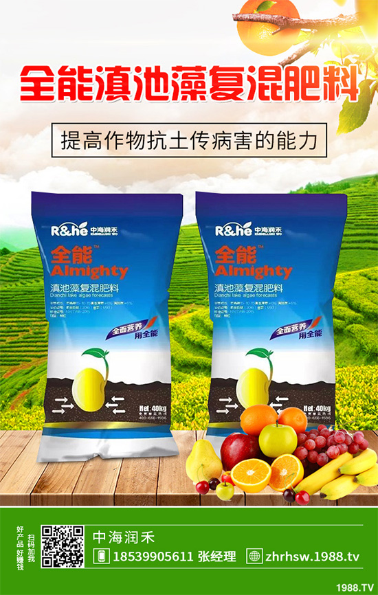 ���r����͸���������Щ�^(q��)�e���ǂ�(g��)Ч�����ã�