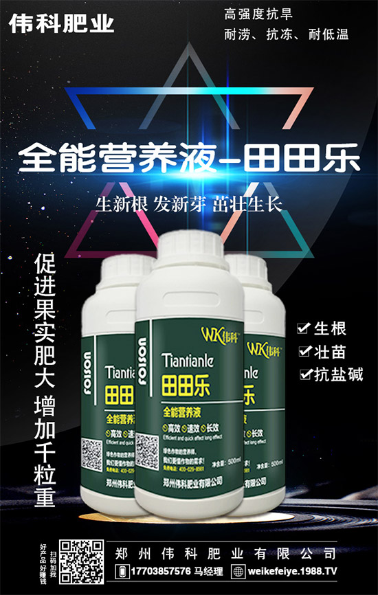     ���ӵĠI(y��ng)�B(y��ng)�r(ji��)ֵ����Щ����Ч�c��������Щ��������Щ��Ⱥʳ����