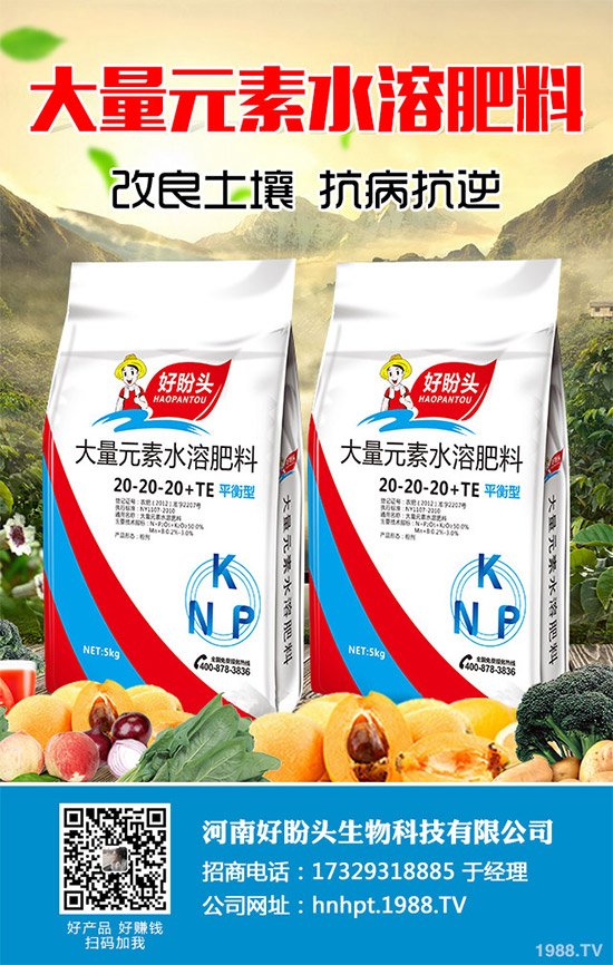 ������֪���Ľ�ɏ���p���ų����w11�N������