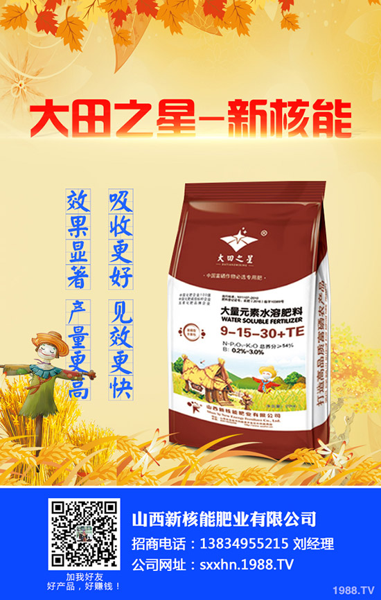     2020年早春辣椒什么時(shí)候種植？育苗技術(shù)及苗期管理要點(diǎn)！