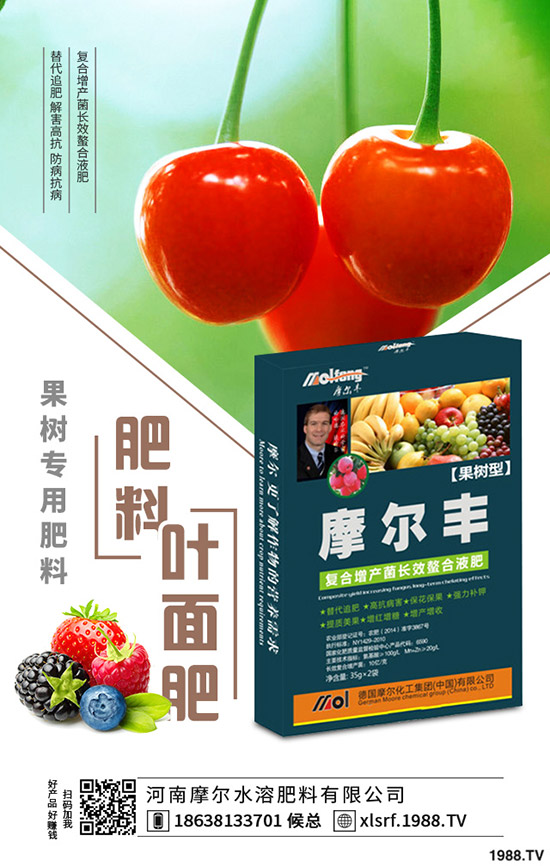 �S���Nֲ���ג겻���X���S���NֲҪ�c������
