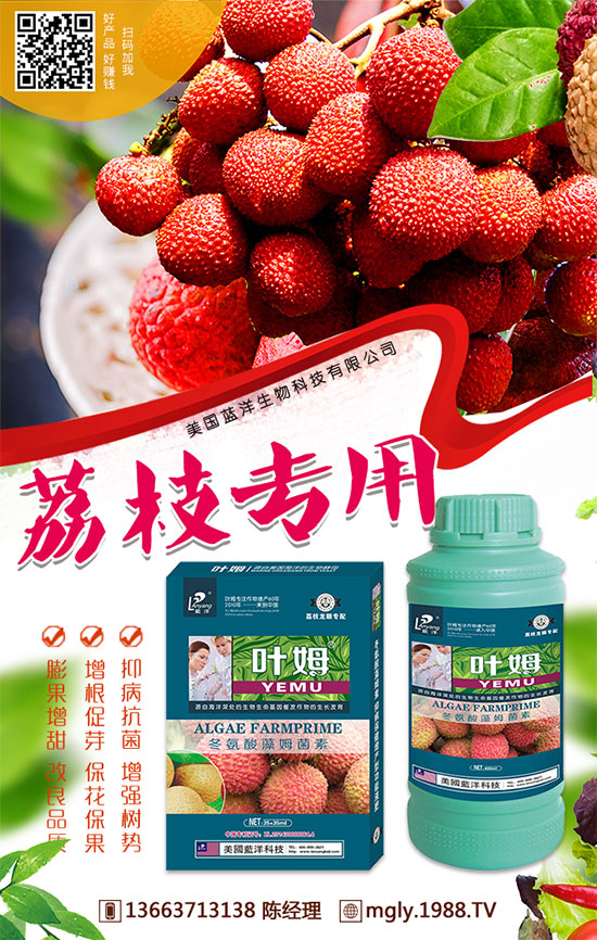 �t�탦(ch��)�ص����أ��t�탦(ch��)������Щ������