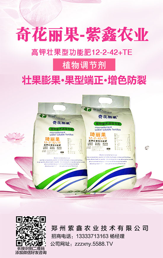     �v�^���껯���߄ݡ����ȟ����������