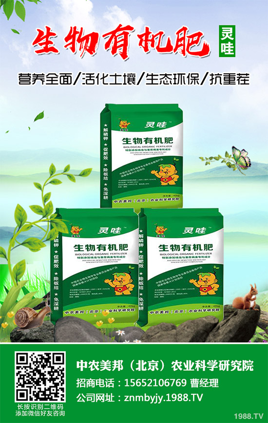 ��֪��ʲô�����E�������E��Ŷ����Xһ��������