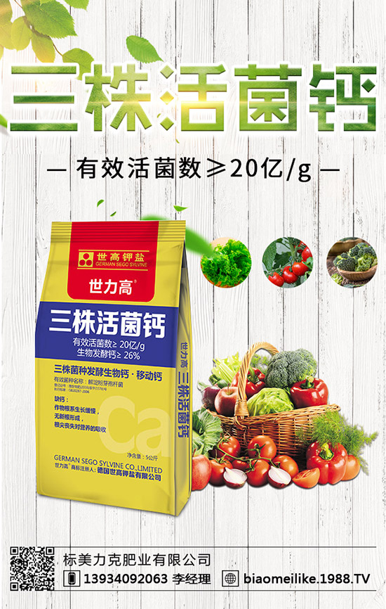     2019��8�µ��������������Ј��r����������������A(y��)�y