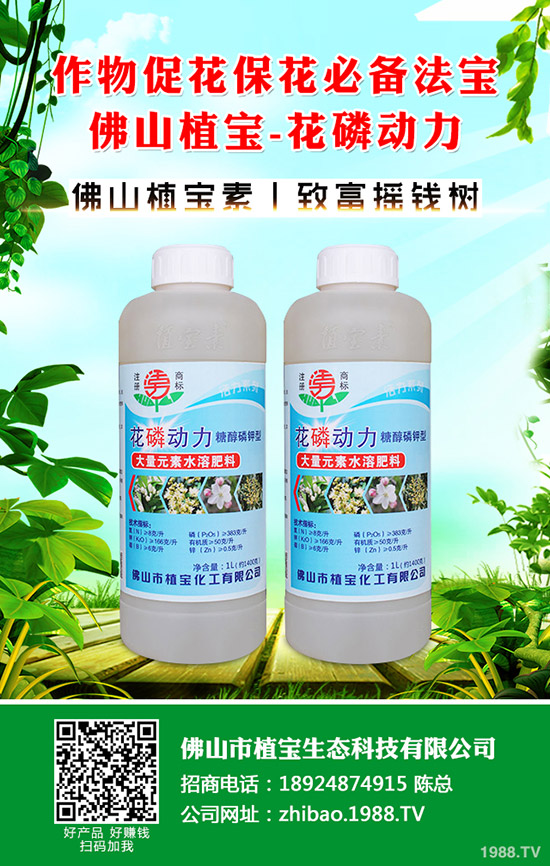 �۲�����ЩƷ�N�����۲˵ĺ�̎����Щ�������������