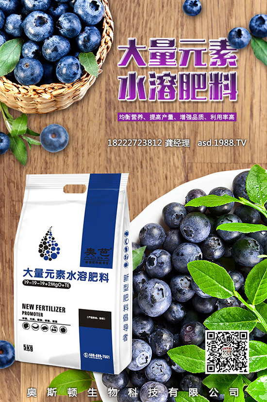 �t���Ĺ�Ч�c��������Щ����Щ�˲��m�ϳԼt����