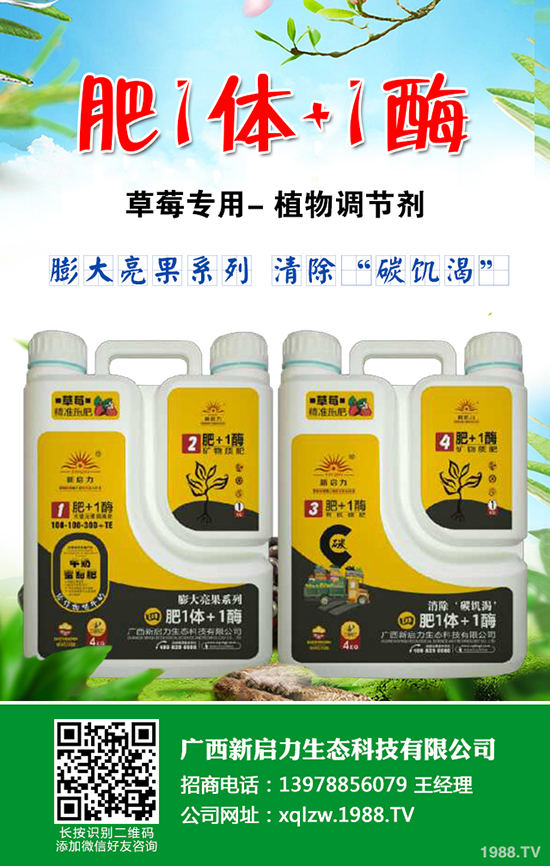 ����Intergro�Ƴ�PreBiotech™�ȣ��ך��أ�ϵ�Є�(chu��ng)������a(ch��n)Ʒ