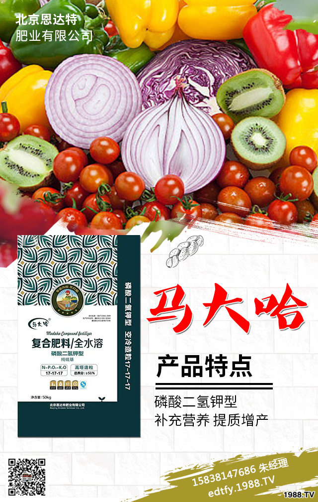 �����߲�ʩ���д�����Щ���}�������߲˷Nֲ���g(sh��)