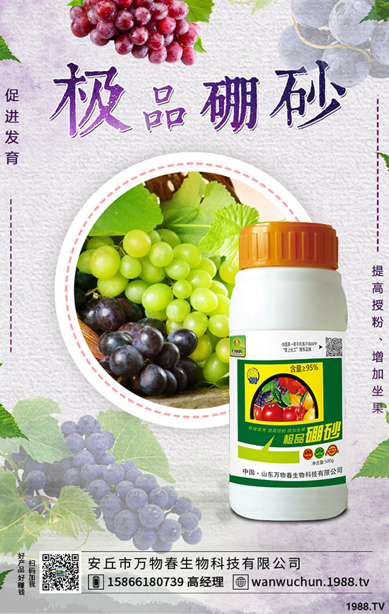 �����ηNֲ����轷Nֲ�l������Щ��