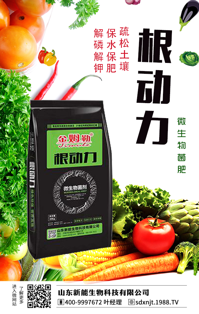 �R������������νo�R���ʩ����