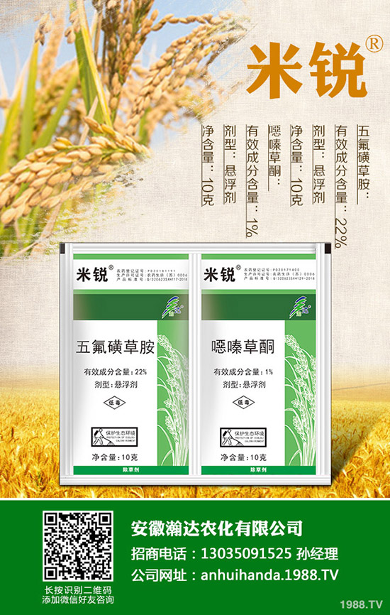 �Բ�������Щ��̎�����˵ĠI(y��ng)�B(y��ng)�r(ji��)ֵ����Щ��