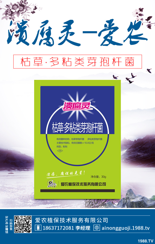 大白菜病害怎么防治?秋播大白菜病害防治方法