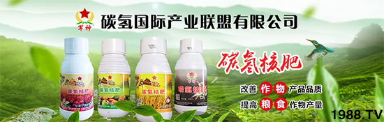 �ϰټ�ý�w��(b��o)�������쳬�^(gu��)�W��ʳƷ��(bi��o)��(zh��n)������̼?x��)�˷ʾ����@ô����