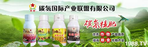 �����������L���߉��������ͷ���Ѹ������������ƌW(xu��)���L���g�޴���