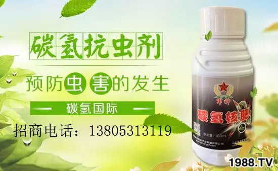 �����������L���߉��������ͷ���Ѹ������������ƌW(xu��)���L���g�޴�