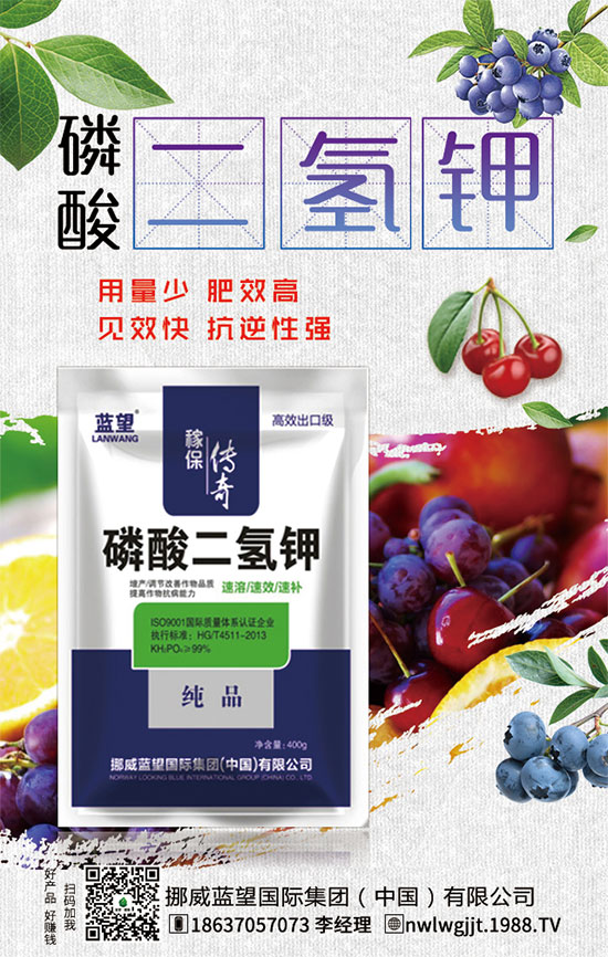 ������t����ֲע�����(xi��ng)��������t������ڹ�������
