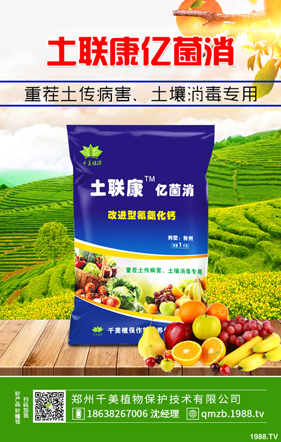    �＾����������ι������＾����������ֲ�������g(sh��)��