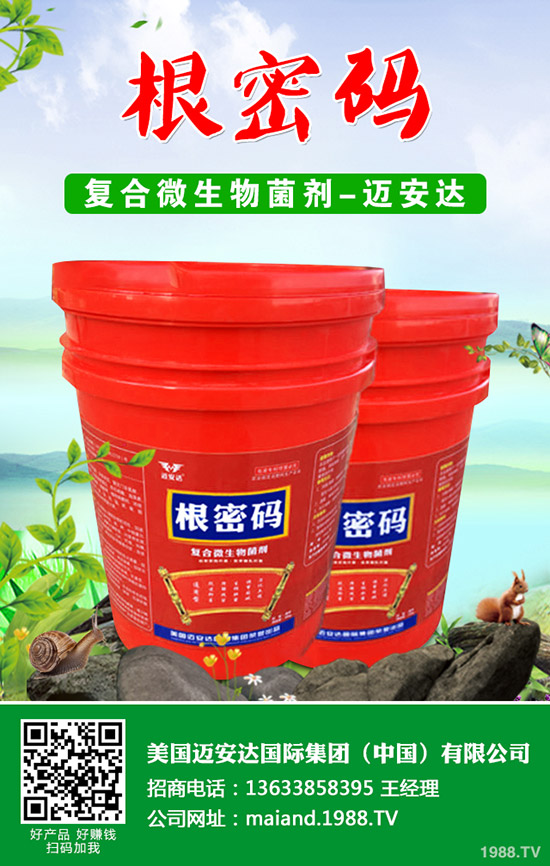 �����Jʲô�r(sh��)��Nֲ�������J�Nֲ���g(sh��)��