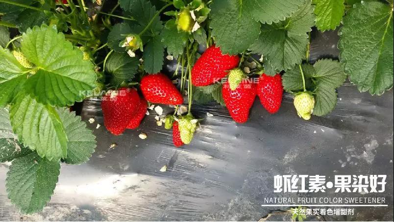 ��Ȼ����(sh��)��ɫ�����������r�t�ء��Ⱦ����
