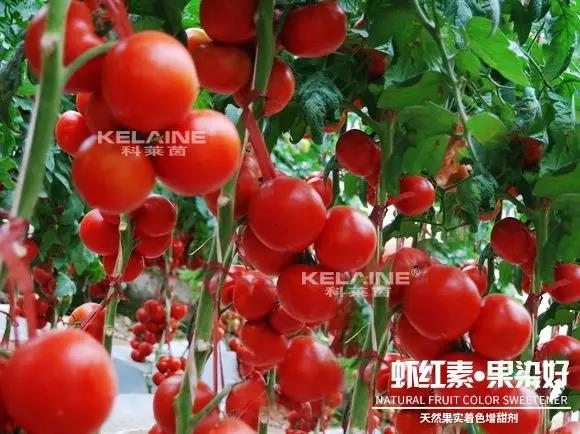��Ȼ����(sh��)��ɫ�����������r�t�ء��Ⱦ����