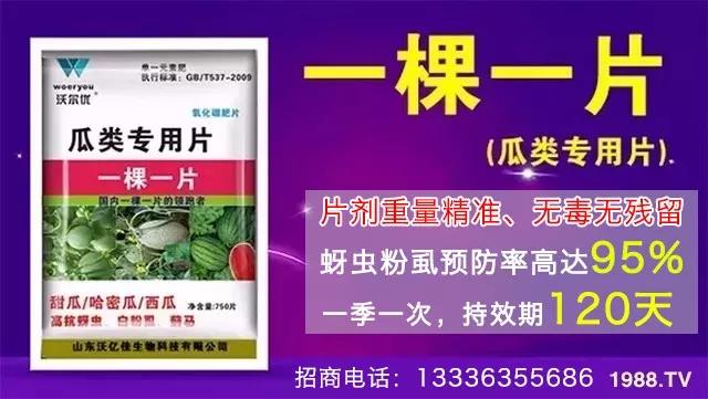 ���x(ch��ng)���wʭ��������һƬˎ�p�ɸ㶨���A(y��)����95%����Ч�L(zh��ng)�_(d��)120����