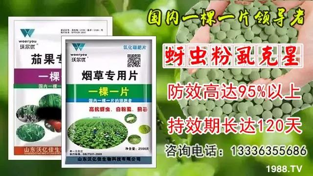 ���x(ch��ng)���wʭ��������һƬˎ�p�ɸ㶨���A(y��)����95%����Ч�L(zh��ng)�_(d��)120�죡