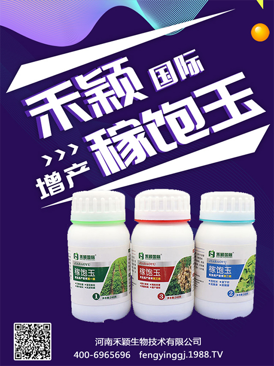 ����Nֲ���ի@�r(sh��)�g������Nֲ�����L(zh��ng)�h(hu��n)����
