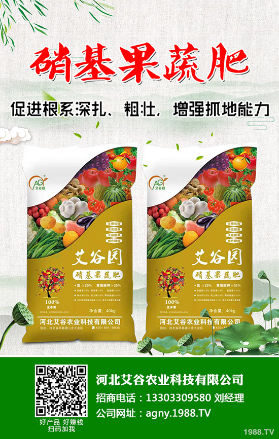 ��Ҭ���c���m���ĠI�B(y��ng)�r(ji��)ֵ��ʲô��ͬ����Ҭ�����m���ą^(q��)�e����Щ��