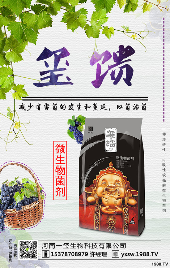     北方怎樣種植藍(lán)莓？種植藍(lán)莓應(yīng)該注意什么？