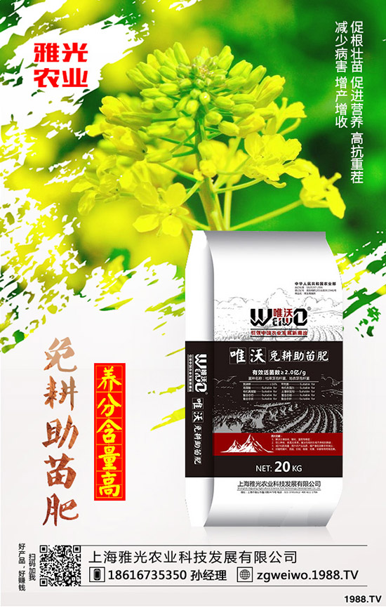 ��������Щ�I(y��ng)�B(y��ng)�r(ji��)ֵ�������c�t������Ă�(g��)���РI(y��ng)�B(y��ng)��