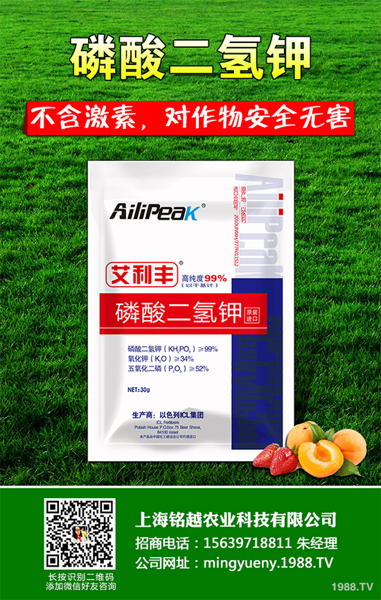 �㶹����������ЩΣ�����F(xi��n)��ԓ���ӷ������㶹���������η���