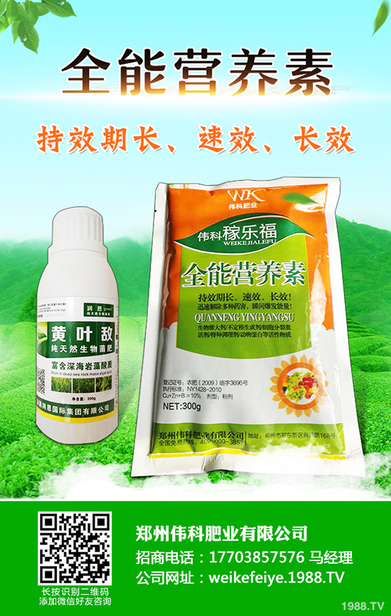 柿子樹怎么嫁接，柿子樹嫁接時間和方法！