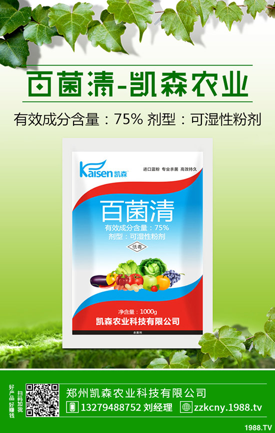 板栗樹種植后怎么管理?板栗種植的管理技術(shù)!