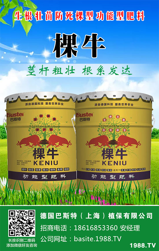 ���[���ʩ�������[�ƌW(xu��)������ʩ�ʷ�����