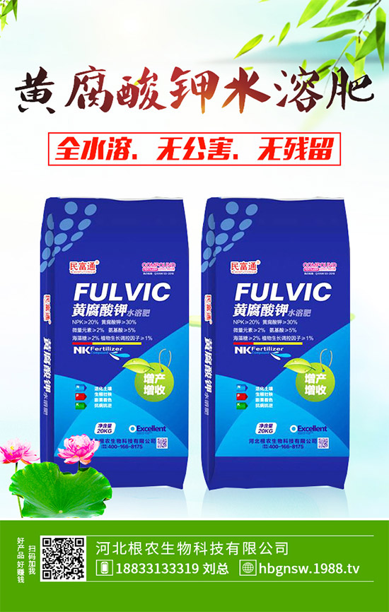 ����ԓ��ô��������ĠI�B(y��ng)�Է���ע�����