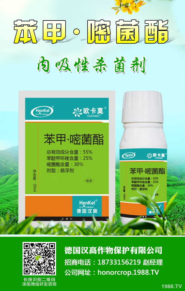 �۲������Բ������ӷ��Σ��۲������Բ������μ���