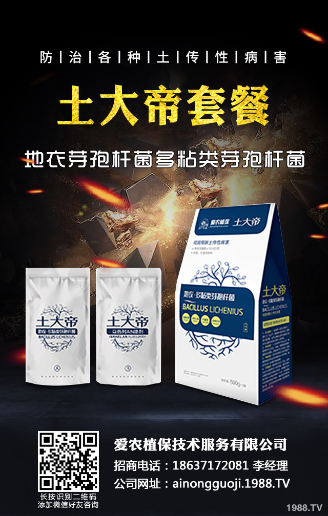 �ﲥС����ô����|(zh��)�����ﲥС������|(zh��)����Ҫ�c