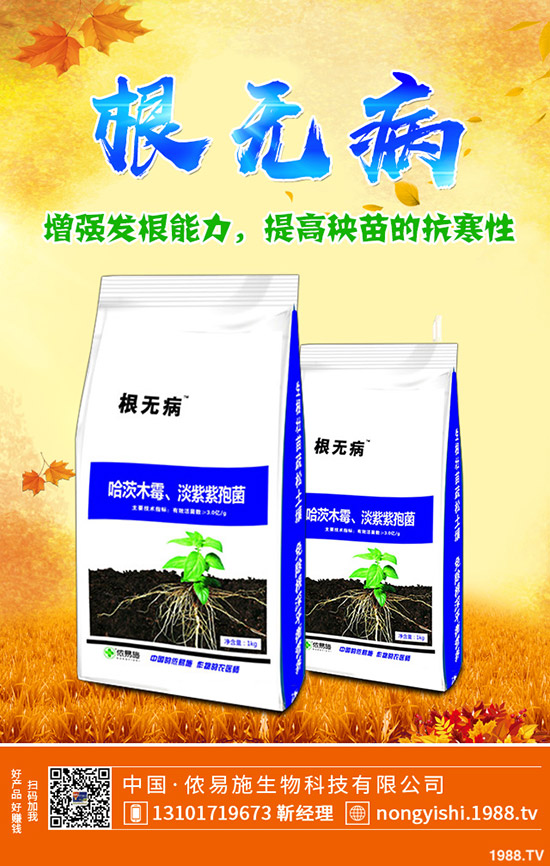     ��ˡ����[�����[�Nֲٍ�X�᣿��Ҋ�{(di��o)ζ���߲˷Nֲ����(r��n)������