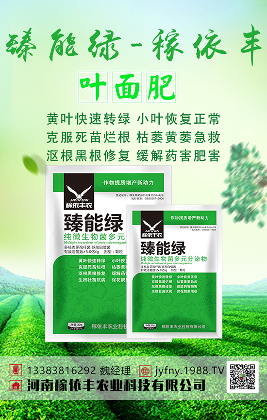 �n�Sʩ���з������n�S�Ĵ�ƌWʩ�ʼ��g��