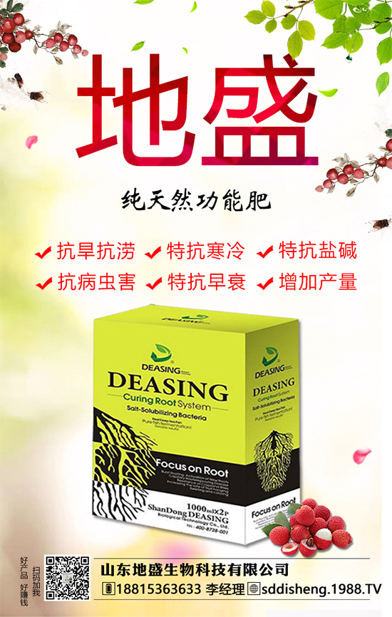 油茶樹的種植管理方法，油茶樹的經(jīng)濟(jì)價值如何？