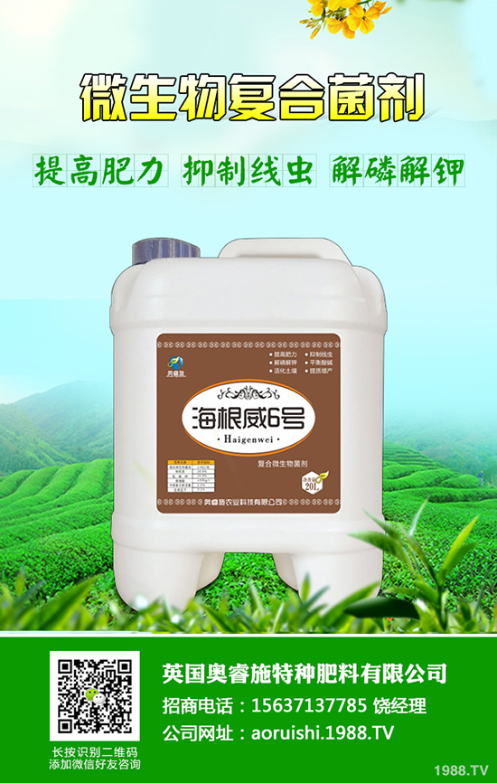 柚子種植技術(shù)！柚子栽種要注意些什么？