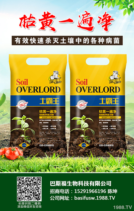 ���Sԓ��ηNֲ�����S�ĸ�Ч���༼�g(sh��)����Щ��