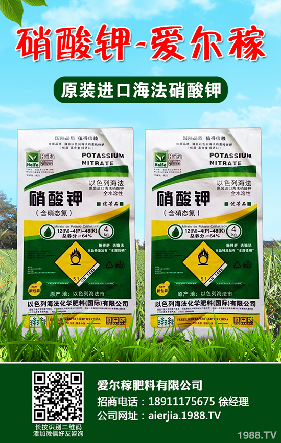 常吃蘆筍對人體有哪些好處？蘆筍的功效作用及營養(yǎng)價(jià)值