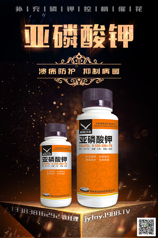 2020�N�ڷ���ٍ�X�᣿�ڷ��ѵķNֲ��������Щ��