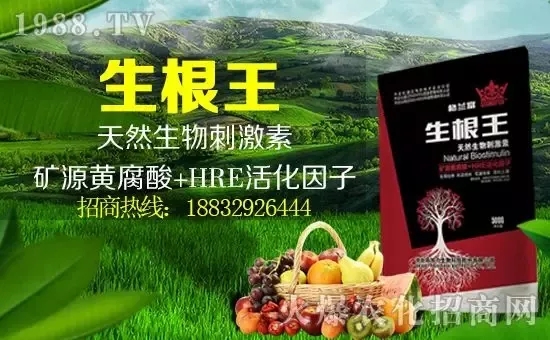 С���q�r(ji��)����(g��)�e��(b��o)�r(ji��)���^2500Ԫ/����