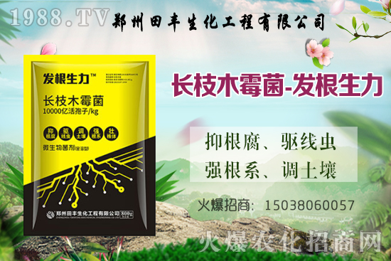 С���q�r(ji��)��������С���r(ji��)��(w��n)��ƫ��(qi��ng)�����ֵ؅^(q��)�^�m(x��)�ϝq��