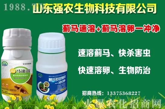�ﶬ11�·Nֲʲô�߲˱��^���m���߲˷Nֲע�����(xi��ng)��